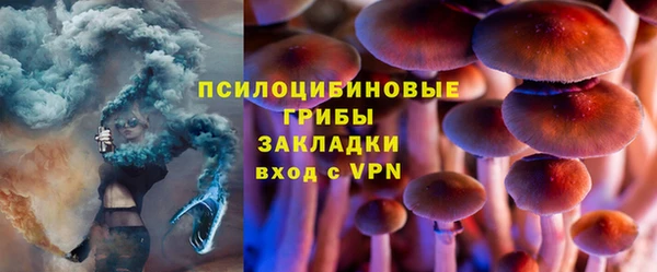 хмурый Горно-Алтайск